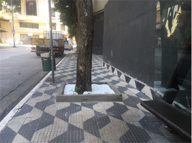 A photo of a sidewalk with a a tree planted in a larger than necessary bed, in the middle of this sidewalk